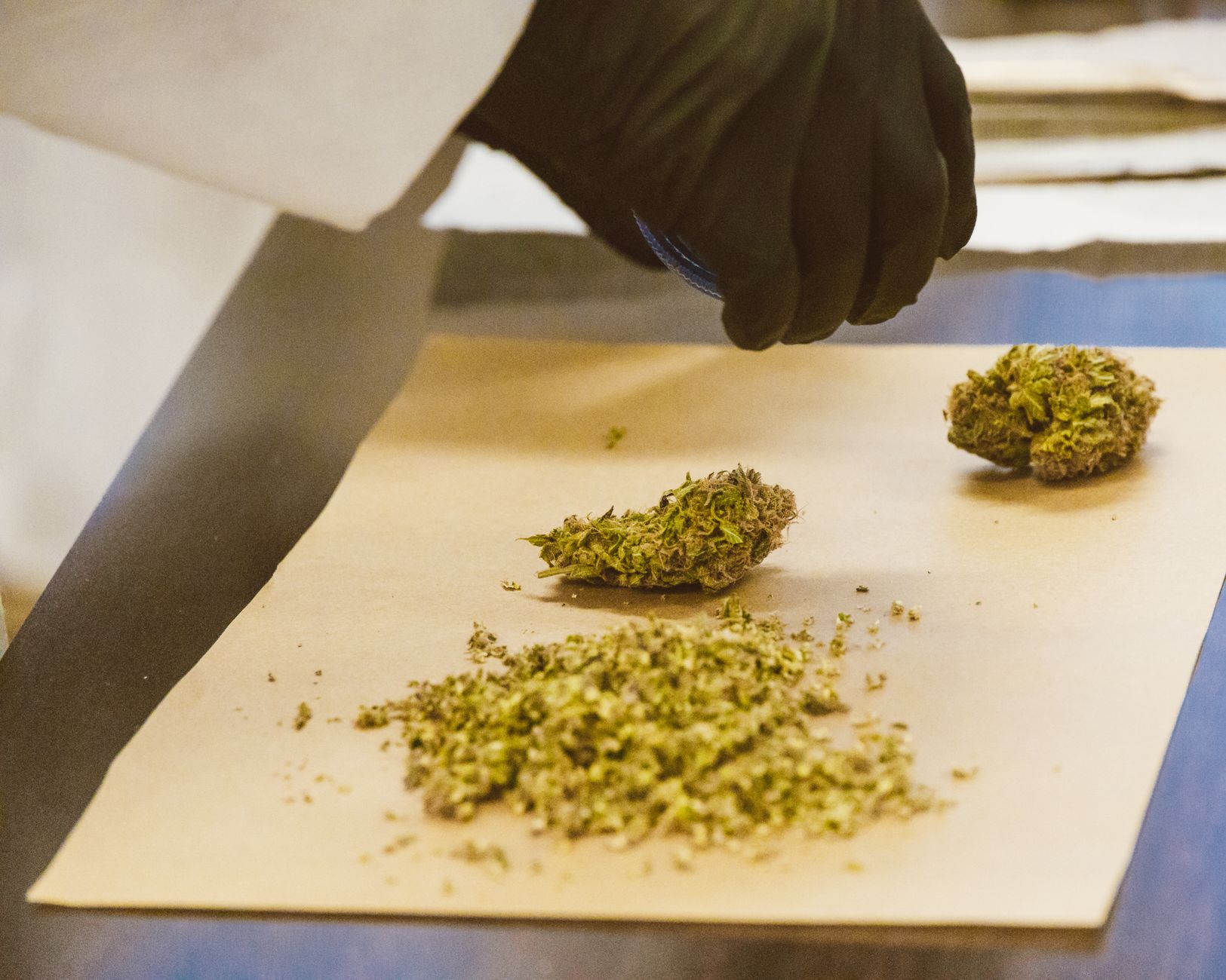 Varese, sequestrati hashish e MDMA: sette persone indagate
