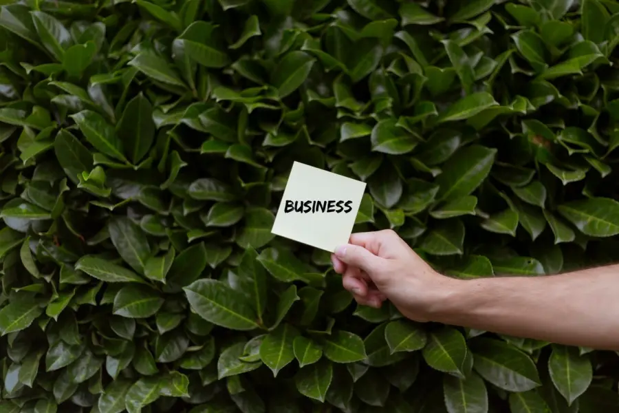 Greenwashing, dal 27 settembre nuovi obblighi per le imprese