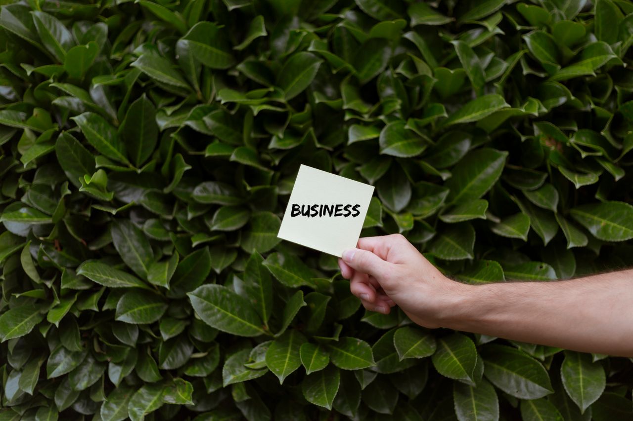 Greenwashing, dal 27 settembre nuovi obblighi per le imprese