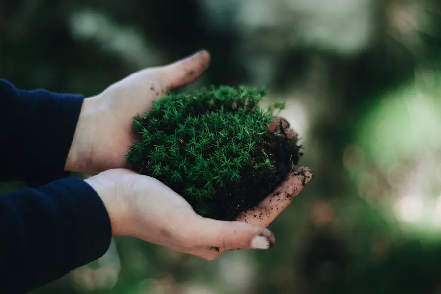 Varese, Premio Ecologia 2026 a Enrico Giovannini: cerimonia il 5 novembre