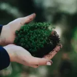 Varese, Premio Ecologia 2026 a Enrico Giovannini: cerimonia il 5 novembre