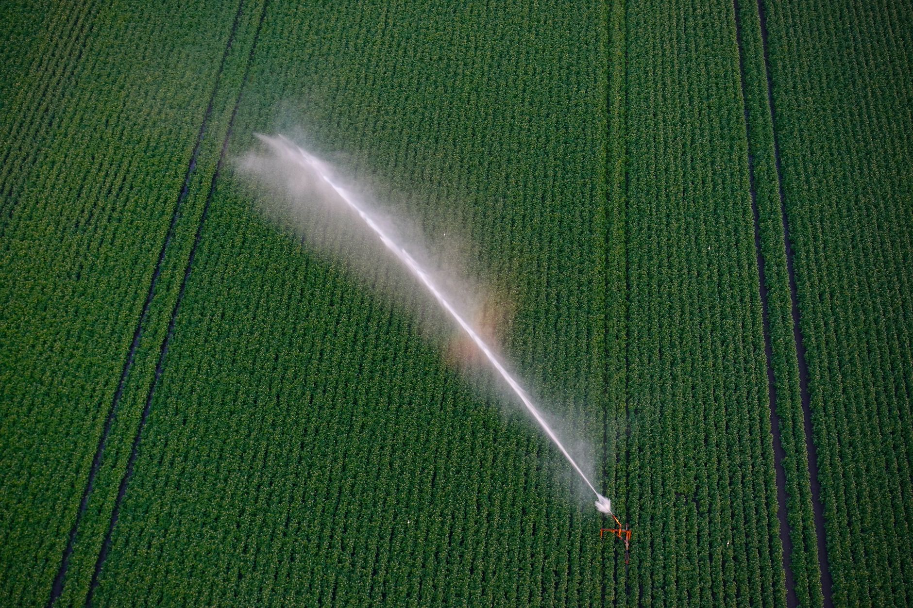 Lombardia, siccità: acqua ai campi fino al 24 luglio